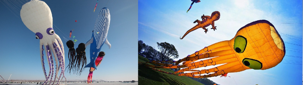 Фестивали воздушных змеев