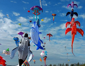 Фестиваль воздушных змеев в России